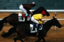 Sports Equestres - christophe soumillon