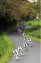 Cyclisme - philippe gilbert