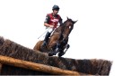 Sports Equestres - andrew nicholson