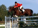 Sports Equestres - jean-marc nicolas