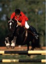 Sports Equestres - herve godignon