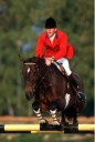 Sports Equestres - philippe rozier