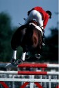 Sports Equestres - 