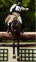 Sports Equestres - jean coelho