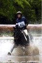 Sports Equestres - lise boyer