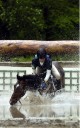 Sports Equestres - vanessa lambert