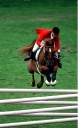 Sports Equestres - mark armstrong