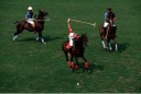 Sports Equestres - edouardo heguy