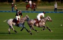 Sports Equestres - pierre-henri n gomou