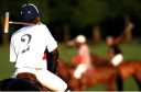 Sports Equestres - pierre-henri n gomou