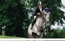 Sports Equestres - nicolas touzaint