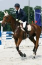 Sports Equestres - thomas bedon
