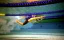 Sports Aquatiques - franck southon