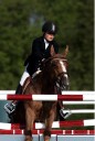 Sports Equestres - sophia mariller