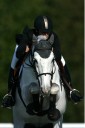 Sports Equestres - isabelle baillet