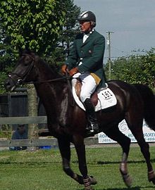 Eddie MACKEN