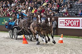 Tomas Eriksson