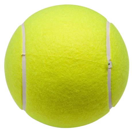 Calendrier WTA Tour 2018 et les vainqueurs